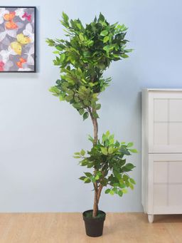 At Home by Nilkamal - Ficus Artificial Tree (Green)
