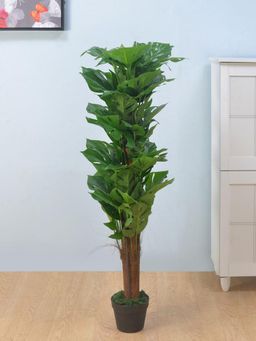 At Home by Nilkamal - Monstera Artificial Tree (Green)