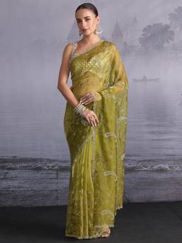 Libas - Green Stone Work Embellished Saree