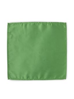 Peter England - Men Green Solid Formal Pocket Square