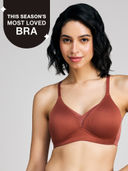 Rust color option, Currently selected