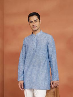 Fabindia - Blue Woven Regular Kurta