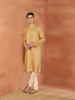 Fabindia - Yellow Woven Regular Kurta