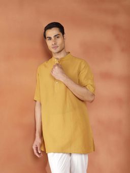 Fabindia - Mustard Checks Regular Kurta