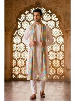 Zamour - Multi-Color Embroidered Dupatta