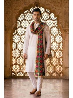 Zamour - Multi-Color Embroidered Dupatta