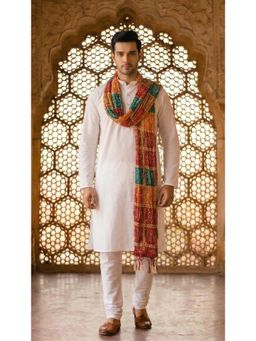 Zamour - Multi-Color Printed Dupatta
