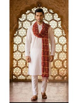 Zamour - Multi-Color Printed Dupatta