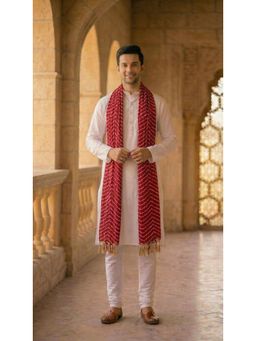 Zamour - Maroon Printed Dupatta