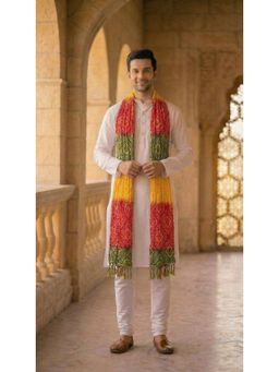 Zamour - Multi-Color Printed Dupatta