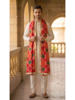 Zamour - Multi-Color Embroidered Dupatta
