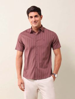 U.S. POLO ASSN. - Stripes Pink Half Sleeves Collar Neck Shirt