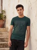 Green color option, Currently selected