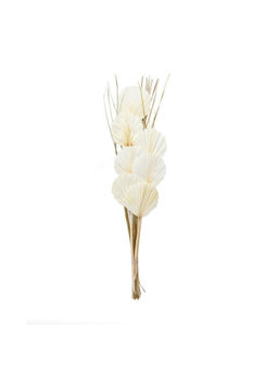 At Home by Nilkamal - Decorative Palm Leaves Dry Stick - Cream