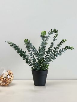 At Home by Nilkamal - Artificial Eucalyptus Plant with Pot - Green