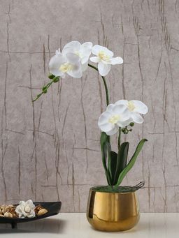 At Home by Nilkamal - Artificial Orchid Plant with Pot - White
