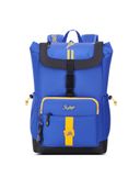 Blue color option, Currently selected