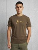 Olive color option, Currently selected