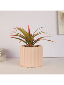 HomeTown - Alura Ceramic Planter in Pink Colour