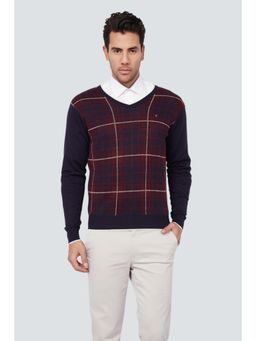 Louis Philippe - Men Navy Blue Checks V-Neck Full Sleeves Sweater