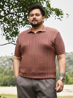 Instafab Plus - Men Brown Cotton Blend Textured Regular Fit Polo T-shirt