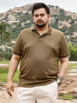 Instafab Plus - Men Olive Cotton Blend Textured Regular Fit Polo T-shirt