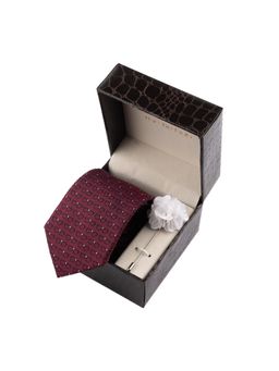 The Tie Hub - Burgundy Spectacle Necktie with Flower Lapel Pin Combo Set