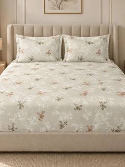 Sleeping Owls - 100% Soft Cotton Elegance 300Tc Super King Bedsheet With Pillow Cover