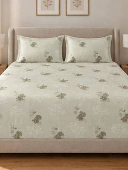 Sleeping Owls - 100% Soft Cotton Elegance 300Tc Super King Bedsheet With Pillow Cover