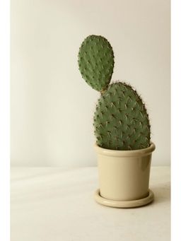 H&M - Yellow Stoneware Plant Pot With Saucer