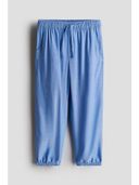Blue color option, Currently selected