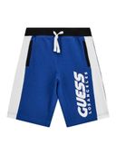Blue color option, Currently selected