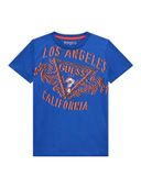 Blue color option, Currently selected