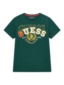 Green color option, Currently selected