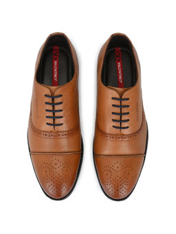 Valentino - Men Premium Leather Tan Lace-Up Formal Derby Shoes