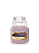 Purple 7