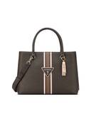 Brown color option, Currently selected