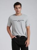 Grey color option, Currently selected