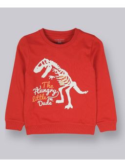 PLUM TREE - Boys Dinosaur Print Sweatshirt
