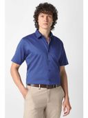 Blue color option, Currently selected
