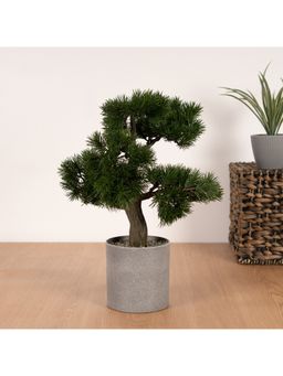 HomeTown - Ilana Bonsai Potted Plant in Multi Colour