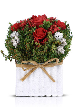 HomeTown - Aura Pe and Natural Dried Flowers Floral Arrangements in Red Colour By Living Essence