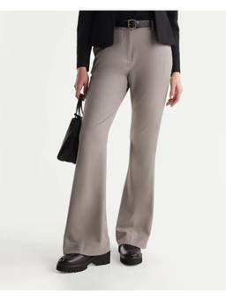 RAREISM - Women Taupe Solid/Plain Polyester Blend Pant