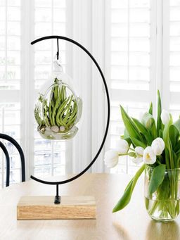 Ecofynd - Black Metal Planter Stand