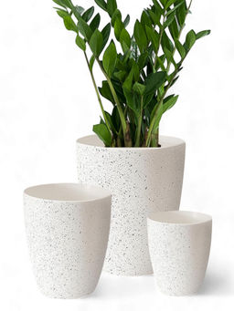 Ecofynd - White Terracotta Pots (Set Of 3)