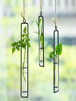 Ecofynd - Metal Wall Hanging Test Tube Planter (Set Of 3)