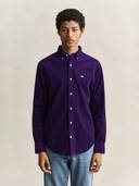 Purple color option, Sold out, Currently selected