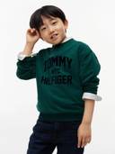 Green color option, Sold out, Currently selected