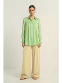 Green color option, Currently selected