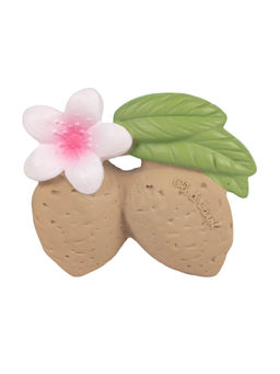 Oli and Carol - Aly The Almond Natural Rubber Teether